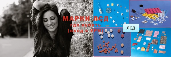 ПСИЛОЦИБИНОВЫЕ ГРИБЫ Белокуриха