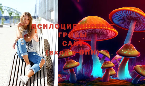 ПСИЛОЦИБИНОВЫЕ ГРИБЫ Белокуриха