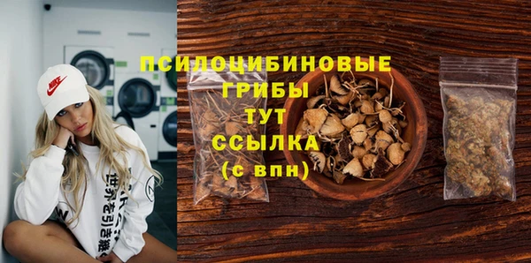 ПСИЛОЦИБИНОВЫЕ ГРИБЫ Белокуриха