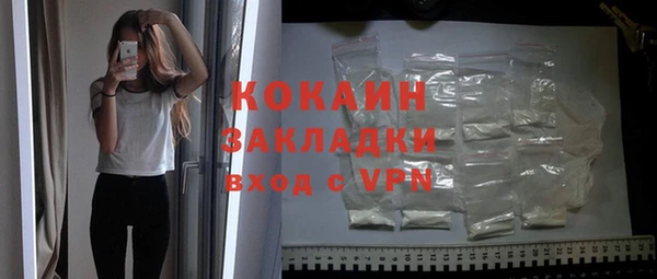 крисы Инта