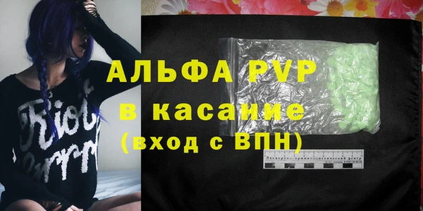 ПСИЛОЦИБИНОВЫЕ ГРИБЫ Белокуриха