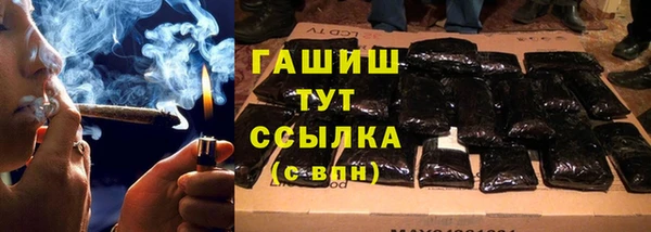 ПСИЛОЦИБИНОВЫЕ ГРИБЫ Белокуриха