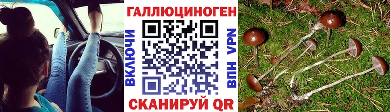 Галлюциногенные грибы мухоморы  где купить наркотик  Заволжье 